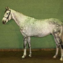 Baron Gyémánt Gyémánt