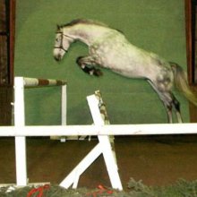 Baron Gyémánt Gyémánt