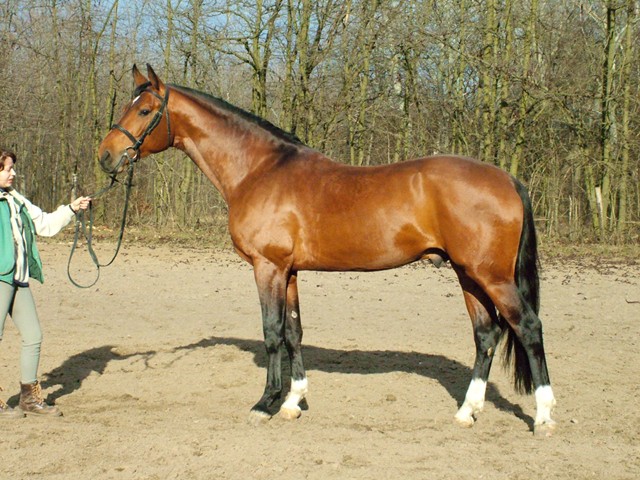 athosbabilon